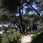 Casa Bellavista